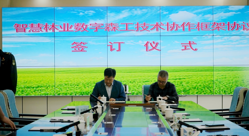 6.27劉新紅一行到阿爾山森工公司調(diào)研.jpg
